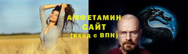 винт Абаза