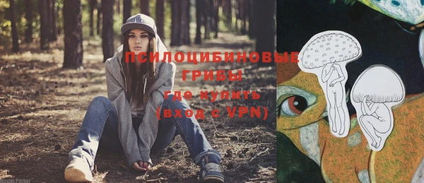 a pvp Абдулино