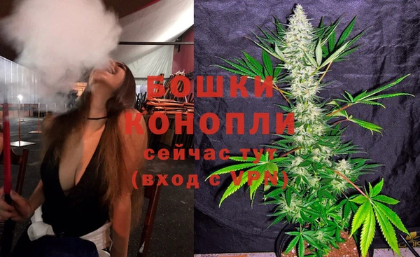 винт Абаза