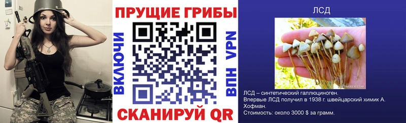 закладка  Брянск  Галлюциногенные грибы ЛСД 
